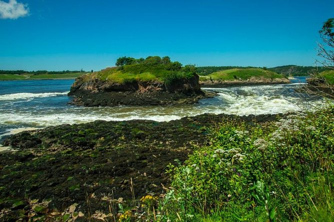 New Brunswick Shore Excursion: Bay of Fundy and More Highlights Tour - Cancellation Policy and Pricing