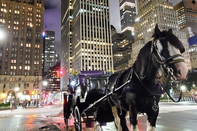 New York City Christmas Lights Private Horse Carriage Ride - Customer Feedback