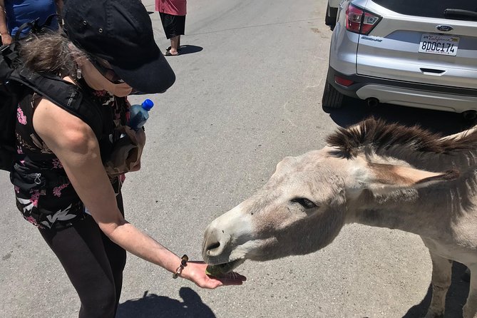 Oatman Mining Camp, Burros, Museums & Scenic RT66 Tour Small Grp - Guest Satisfaction and Recommendations