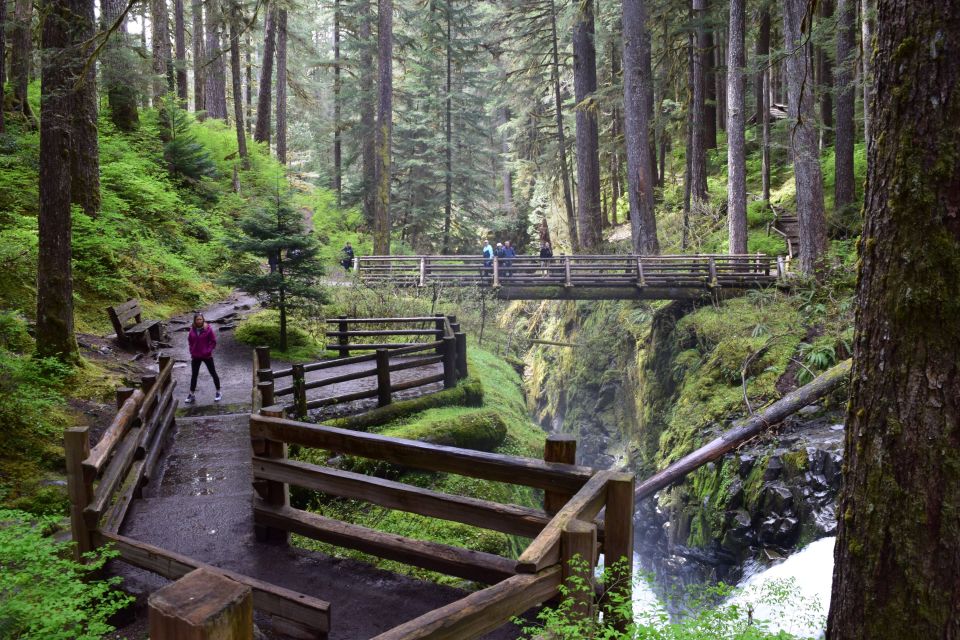 Olympic National Park: Sol Duc and Hurricane Ridge Tour - Logistics and Meeting Point