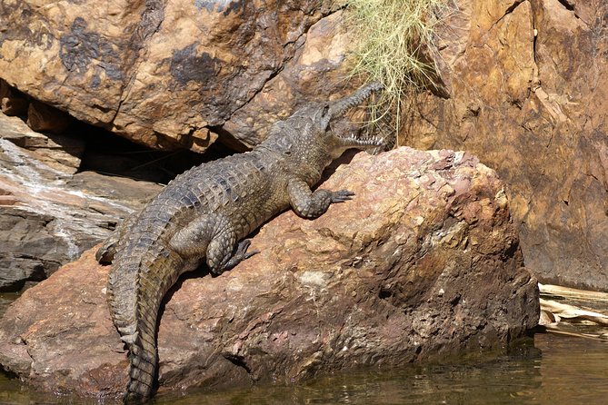 Ord River Explorer Cruise With Sunset - Essential Tour Details