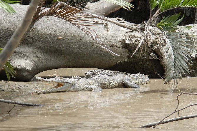 Palo Verde Boat Tour - Customer Support