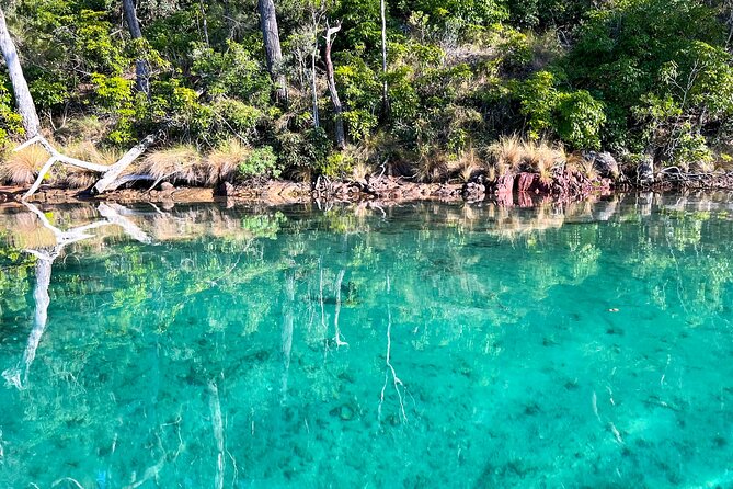 Pambula River Kayaking Tour - Important Safety Considerations