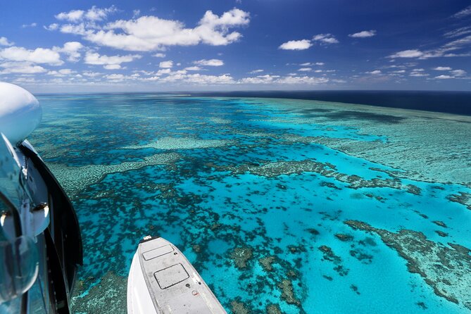 Panorama: the Ultimate Seaplane Tour - Great Barrier Reef & Whitehaven Beach - Panorama Tour Inclusions and Perks