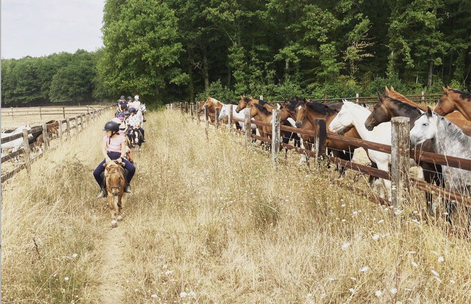 Paris : Horse Riding Camp With English Lessons in Senonches - Location Details