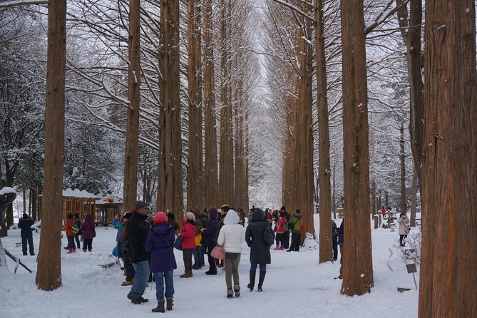 [Perfect Private Tour] Nami Island, Petite France and Organic Strawberry Farm - Tour Inclusions and Details