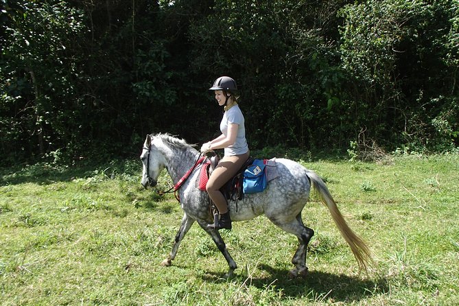 Private and Customized Horseback Riding Adventures - Booking and Confirmation Process