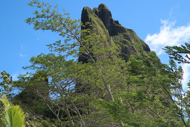 Private Half-Day Hike in the Opunohu Valley in Moorea - Traveler Reviews