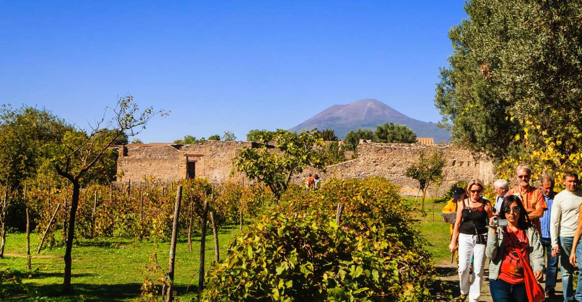 Private Pompeii & Vesuvius Wine Tasting Tour - Tour Activities