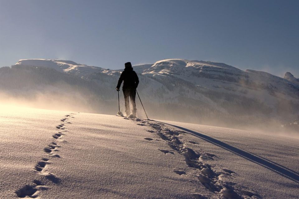 Private Snowshoeing Full Day - Managing Privacy During Snowshoeing Excursion