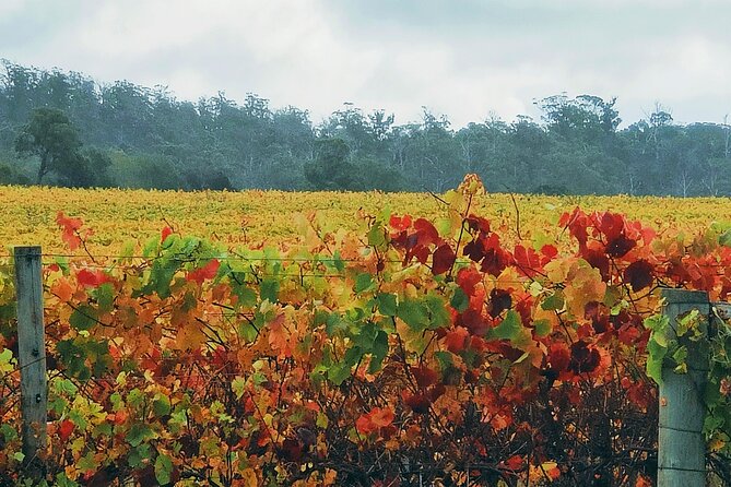 Private Sparkling Tour in Tasmania - Behind the Scenes of Tasmania