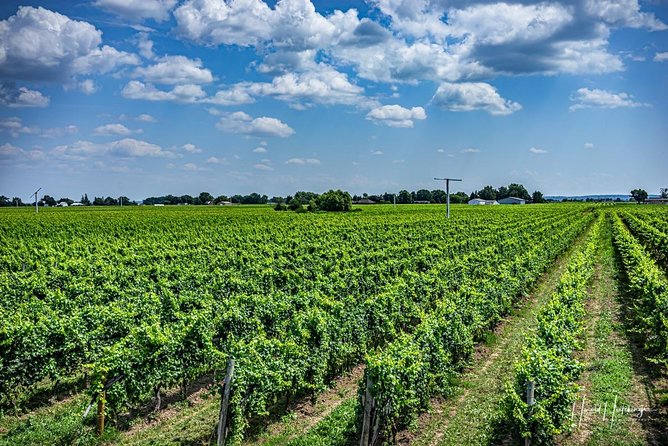 Private Wine and Chocolate Tour in Niagara Wine Region - Pricing and Additional Information