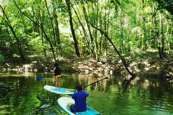 Rainforest Drift - FreshWater Rainforest - Meeting and Pickup Points Explained