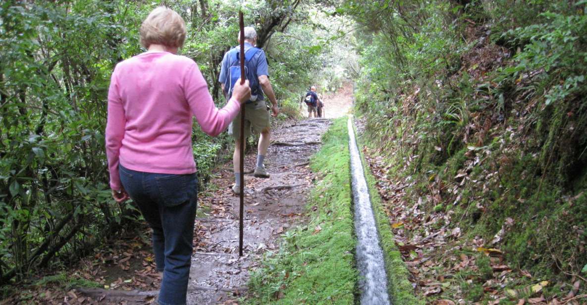 Ribeiro Frio / Portela - Levada Walk - Trail Experience