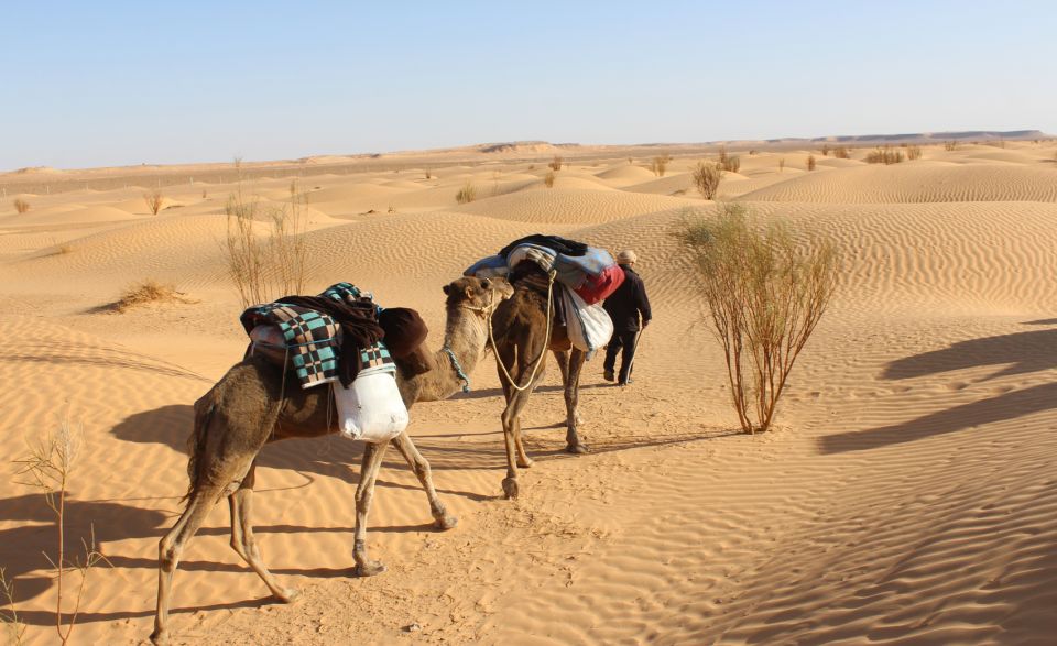 Sahara Desert: 2-Day Tour With Food and a Night in a Tent - Essential Requirements and Exclusions