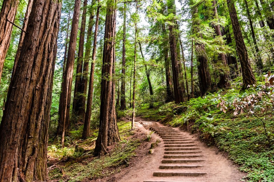 San Francisco Golden Gate Sausalito Muir Woods Private Tour - Inclusions