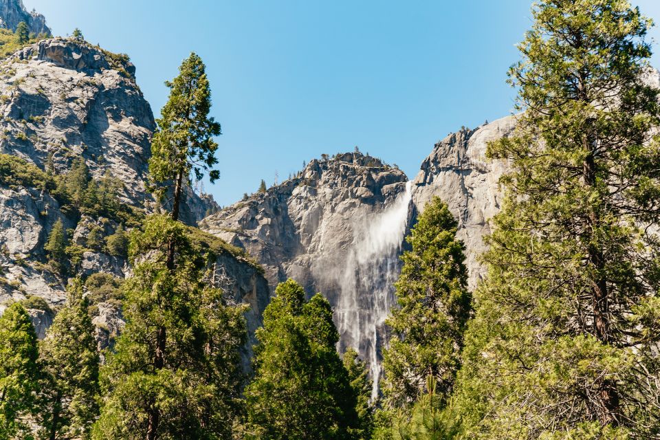 San Francisco: Yosemite National Park & Giant Sequoias Hike - Customer Reviews and Ratings