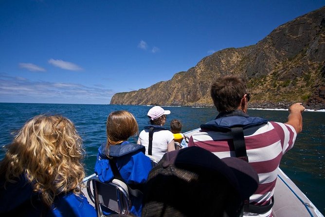 Seal Island Boat Tour From Victor Harbor - Seal Rock and Wright Island