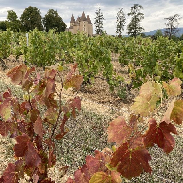 Self-Guided Day-Trip by Train to the Beaujolais (From Lyon) - Important Information