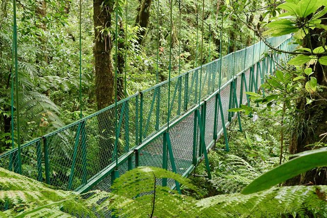 Selvatura Park Hanging Bridge Tour in Monteverde - Final Words