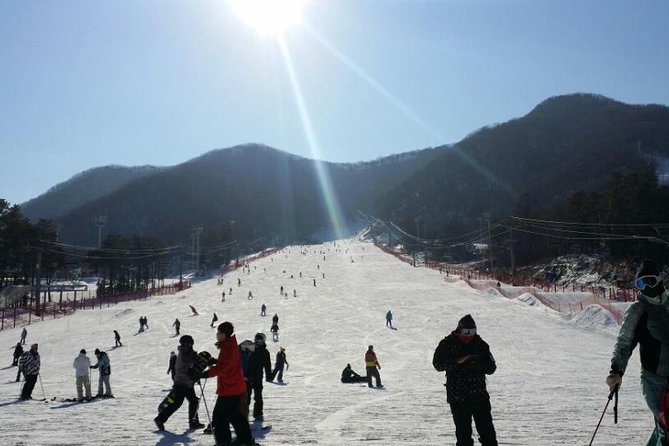 Seoul Ski Tour at Jisan Forest Resort - Tour Schedule and Availability