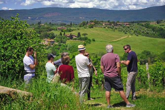 Siena: A Wine Tour and Tasting Experience - Experiential Insights