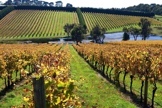 Small Group 6 Guests: Ultimate Mornington Peninsula Food and Wine - Tour Inclusions and Essentials