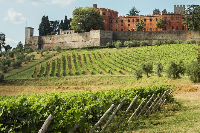 Small-Group Chianti Trip With Wine Tasting From Siena - Recommendations and Highlights