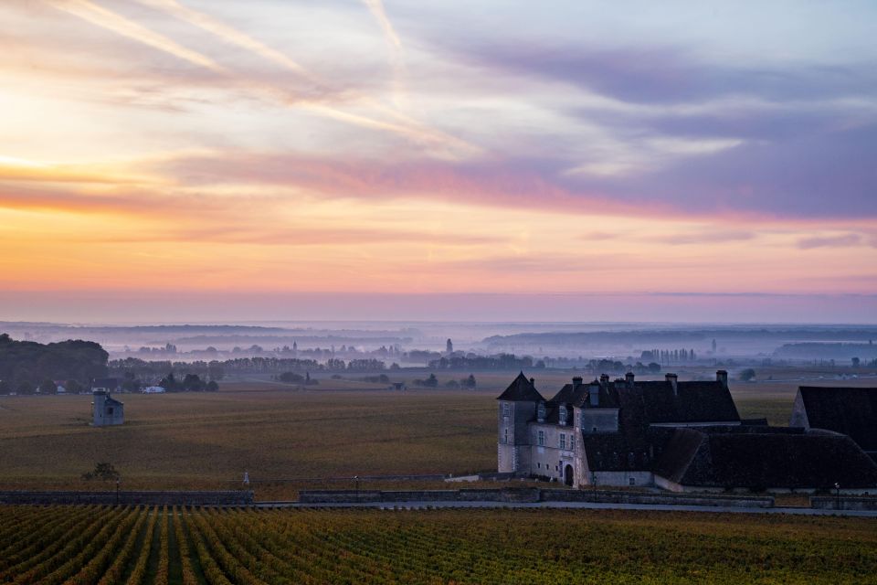 Small Group Tour Morning in Côte De Beaune - Additional Information and Activity ID