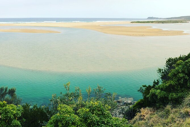 South Coast Nature Tour - Safety Guidelines and Rules