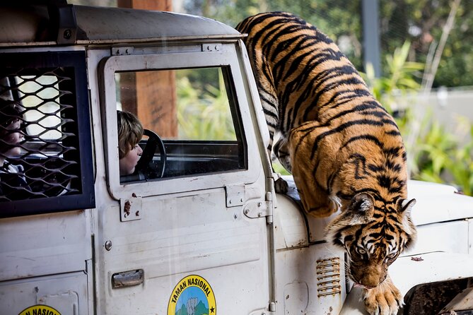 Sydney Taronga Zoo General Entry Ticket - Zoo Accessibility Information