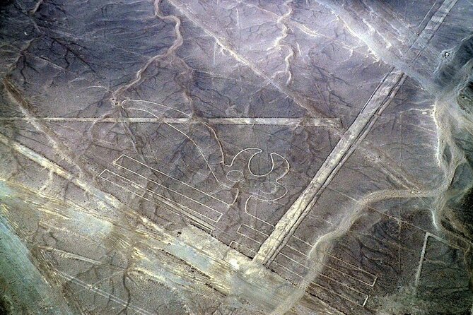 The Nazca Lines & Huacachina Oasis From Lima - Tour Experience and Customer Satisfaction