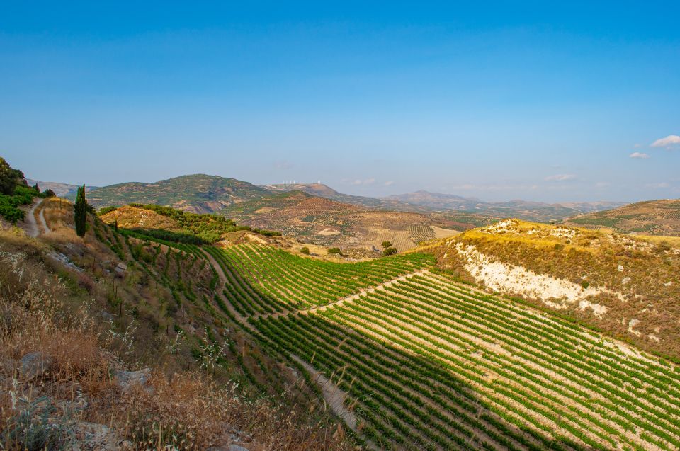 Through Heart of Crete to South & Wine Tasting Private Tour - Inclusions