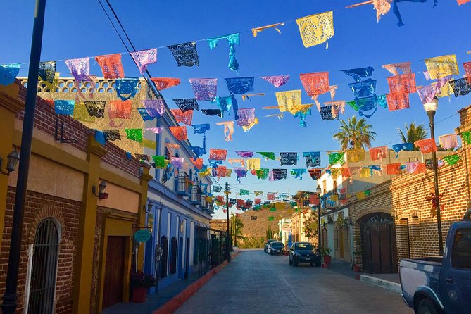 Todos Santos Day Trip From Cabo San Lucas - Positive Feedback