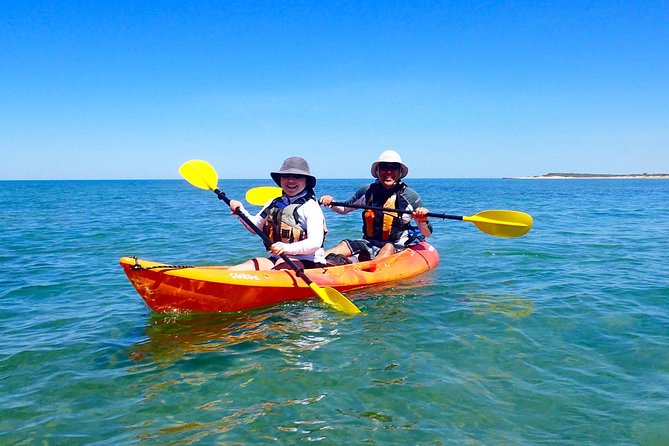 Turtle Tour - Ningaloo Reef Half Day Sea Kayak and Snorkel Tour - Tour Reviews and Ratings