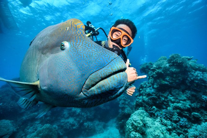 Tusa Reef Tours All Inclusive Great Barrier Reef Tour From Cairns - Essential Tour Information