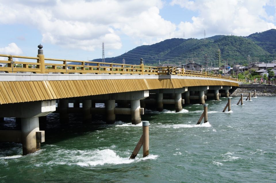 Uji: Green Tea Tour With Byodoin and Koshoji Temple Visits - Guide Insights and UNESCO Sites