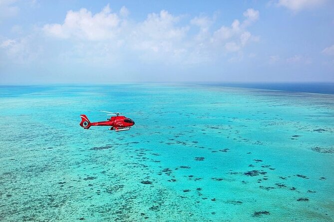 Ultimate Great Barrier Reef and Rainforest 45-minute Helicopter Tour - Planning and Preparation Tips