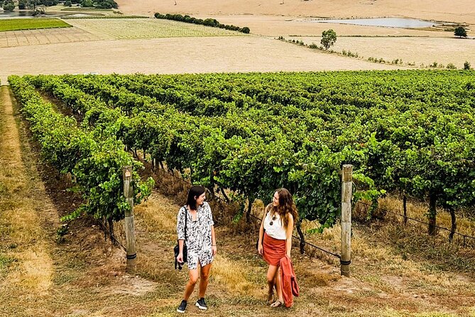 Ultimate Yarra Valley Wine & Food Tour With 2-Course Lunch - What to Expect and Prepare