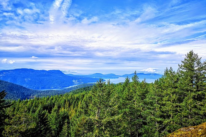 Vancouver Island Rainforest Guided Hike With Private Guide - Host Responses and Interactions