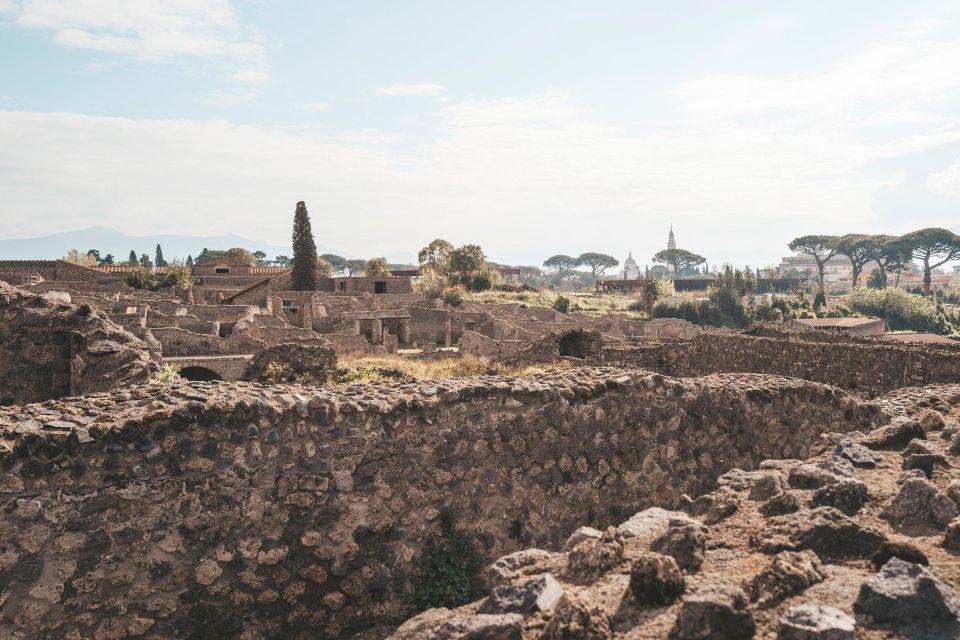 Vesuvius Valley and Pompeii With Wine Taste and Lunch by Van - Itinerary