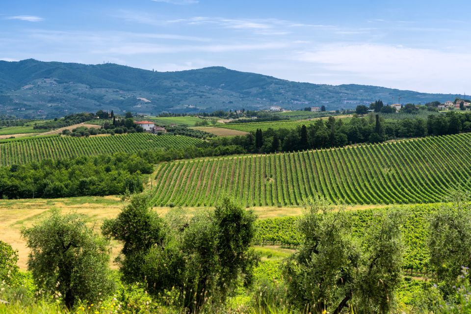 Vinci: The Footsteps of Leonardo and Wine Tasting Tour - Customer Review and Experience