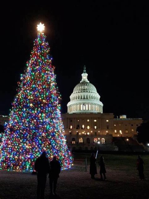 Washington DC: Moon Light Tour of National Mall & Memorials - Meeting Point and Departure Time