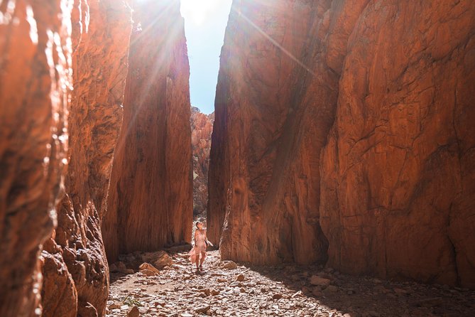 West Macdonnell Ranges- Half Day Trip From Alice Springs - What to Expect on Tour