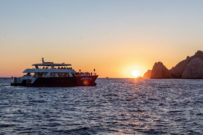 Whale Watching Dinner Cruise in Cabo San Lucas - Experience Highlights