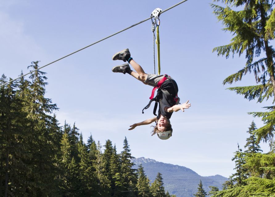 Whistler Zipline Experience: Ziptrek Bear Tour - Customer Reviews