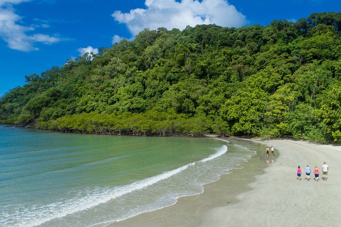 World Heritage Highlights: Reef/Daintree/Cape Tribulation - Elevated Boardwalk Experience