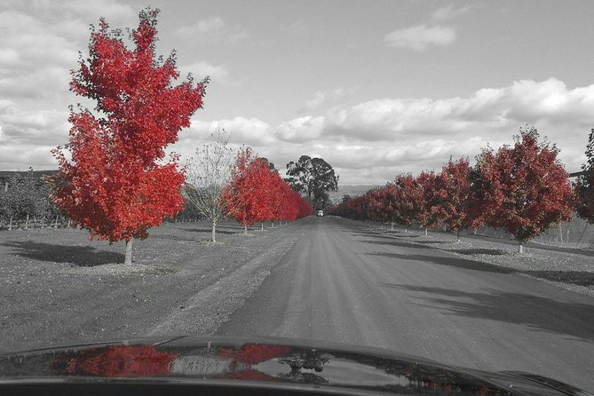 Yarra Valley Exceptional - Private Day Tour - for 2 - With Lunch - Reviews and Ratings From Past Guests