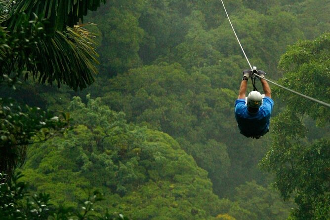 Zipline and Hanging Bridges Combo Tour in Monteverde Cloud Forest - Criticisms and Improvement Areas