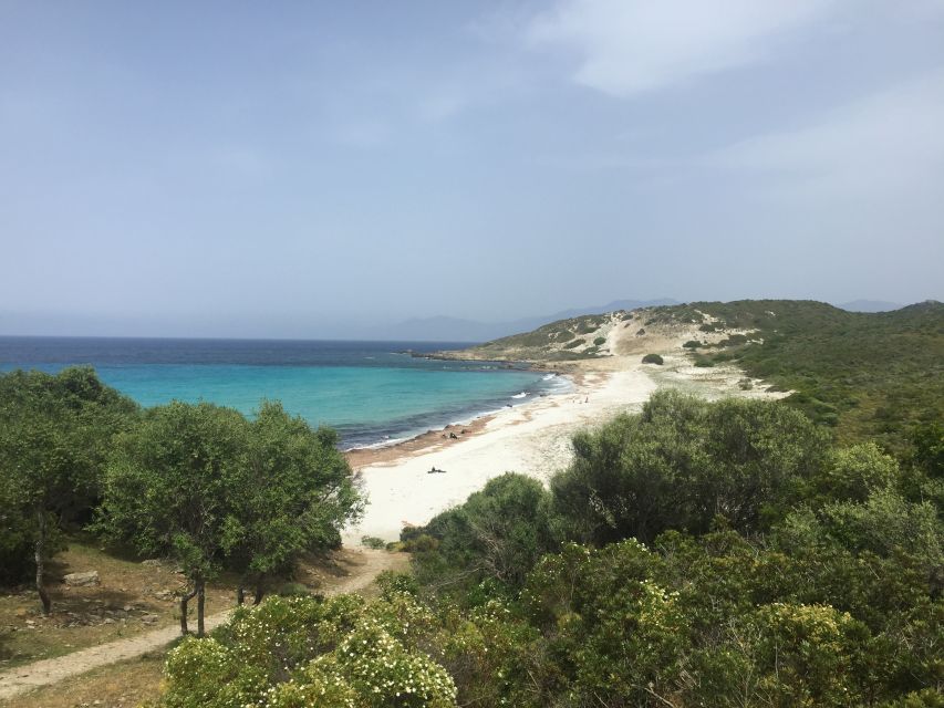 4x4 Agriates Desert and Beach Excursion From Calvi - Key Points